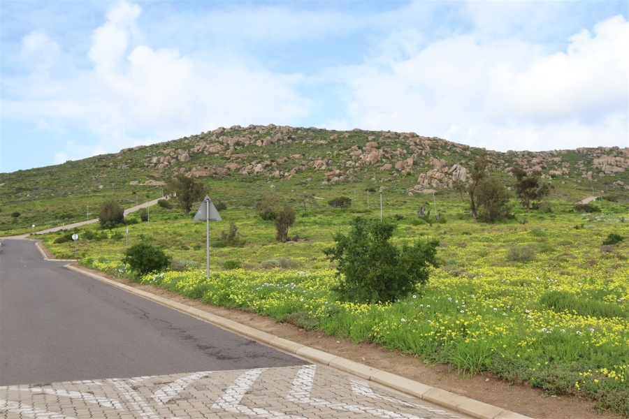 0 Bedroom Property for Sale in St Helena Views Western Cape